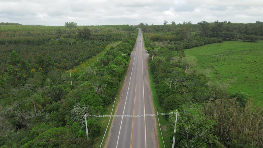 A EGR atua com responsabilidade ambiental em suas rodovias